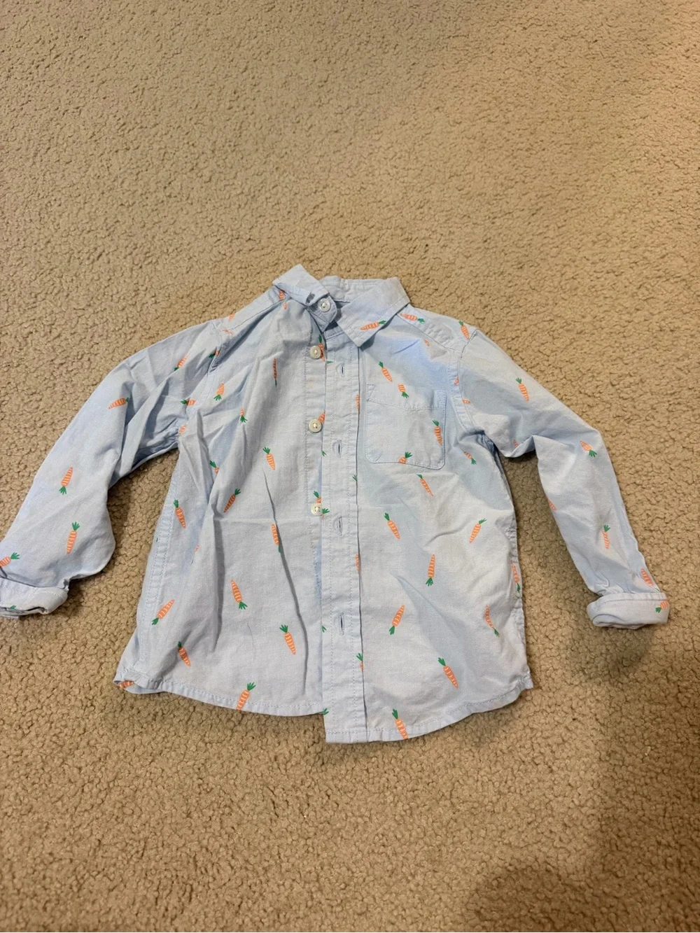2T The Children’s Place Button Down Carrot Long Sleeve Collared Shirt Easter